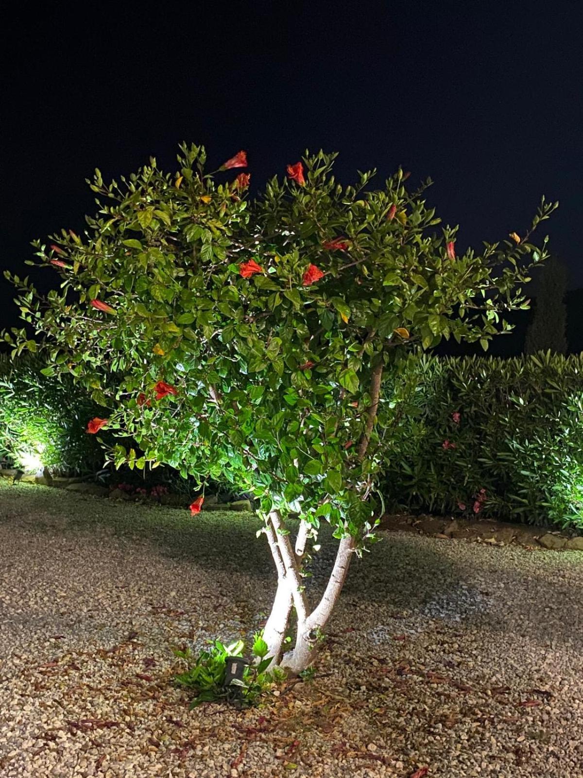 Finca Angelita Torrox Eksteriør bilde