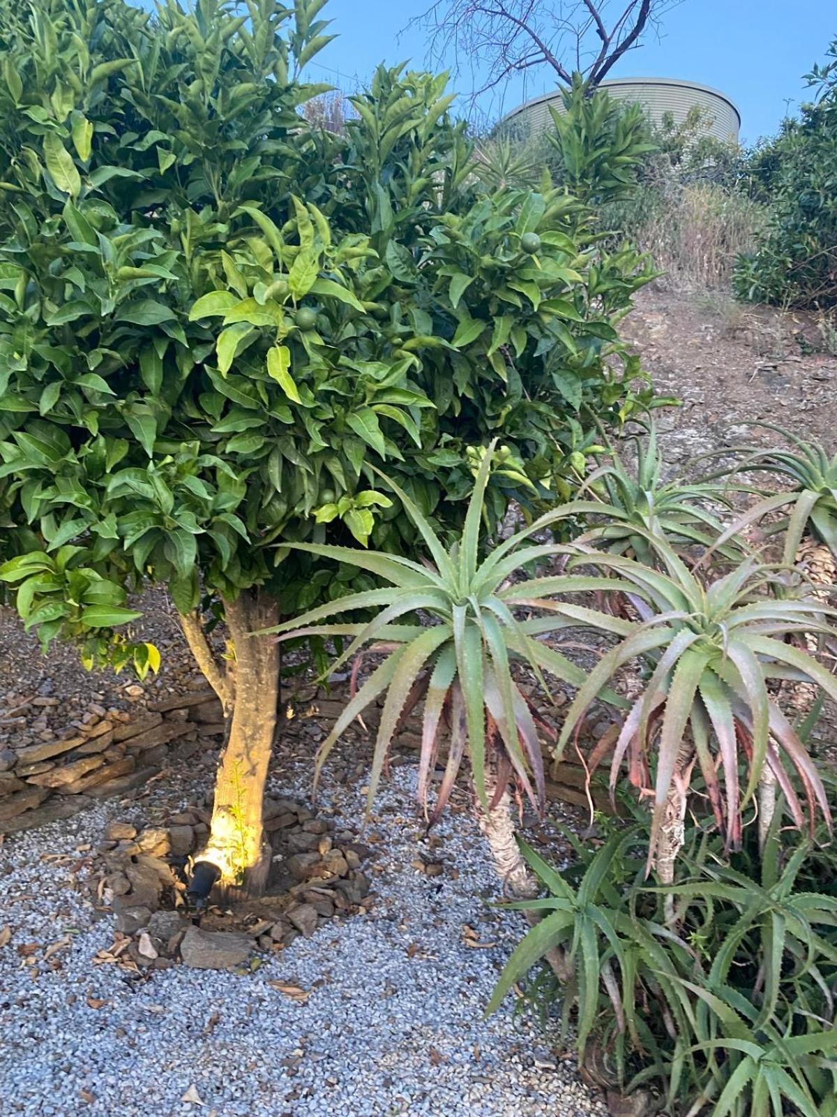 Finca Angelita Torrox Eksteriør bilde